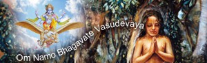 om-namo-bhagavate-vasudevaya-